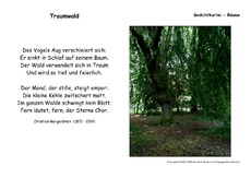 Traumwald Morgenstern.pdf